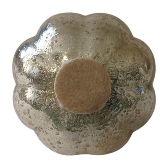 Mercury Glass Pumpkin Gourd Silvery Glass Encased Silver Metal Stem Autumn Fall. - Picture 4 of 16